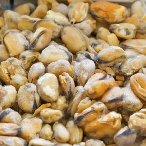 Djupfryst kokt musslingskött